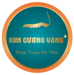 Công ty CP Dược Thảo Kim Cương Vàng Plus