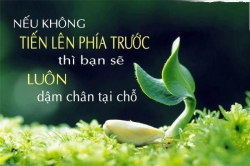 NHÀ PHÂN PHỐI TIÊU DÙNG VIỆT